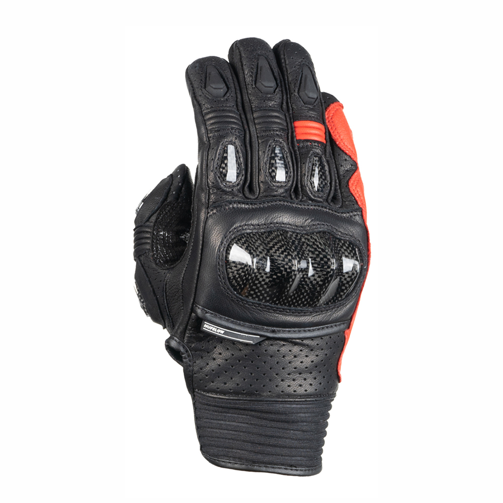 Daisy on the Ohoopee